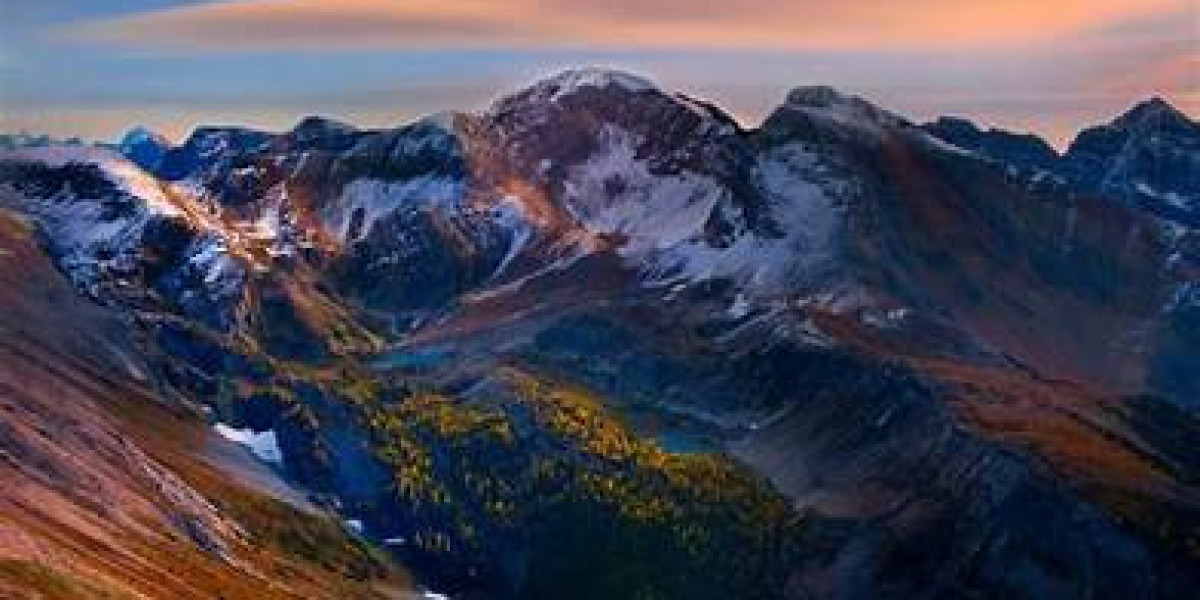 Understated Elegance: Subtle Board Designs for a Chic Bedroom