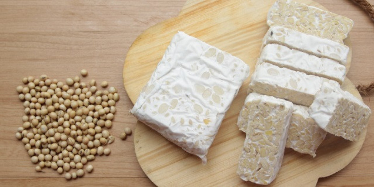 Tempeh Market Overview, Growth Trends, Segmentation, Key Players (2024-2031)