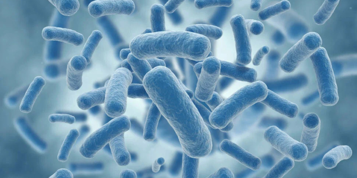 Antimicrobial Coatings Market by Platform, Type, Technology and End User Industry Statistics, Scope, Demand with Forecas