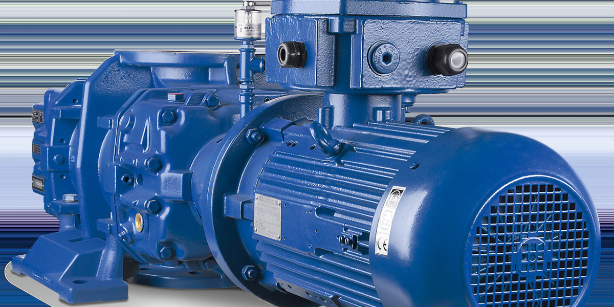 Global Vacuum Pumps Market to Witness Significant Expansion Amid Rising Demand for Clean Energy Solutions