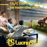 Lương Sơn TV Profile Picture