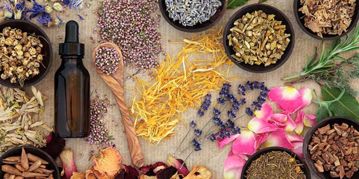 Herbal Supplement Market Sees Explosive Growth as Consumer Demand for Plant-Based Remedies Soars