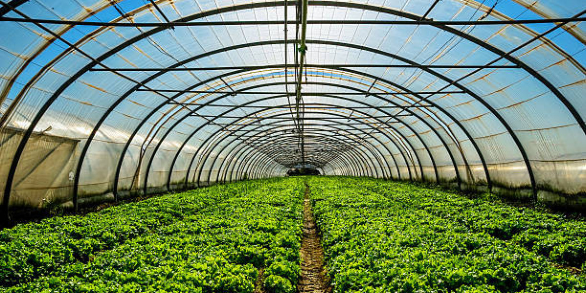 Research Report on the Smart Greenhouse Industry
