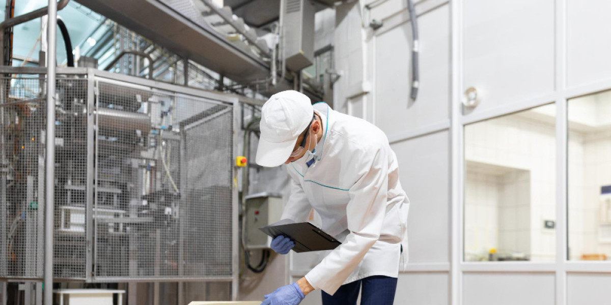 Starting an Egg Powder Manufacturing Plant: What You Need to Know?