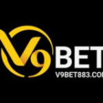 V9Bet com Profile Picture