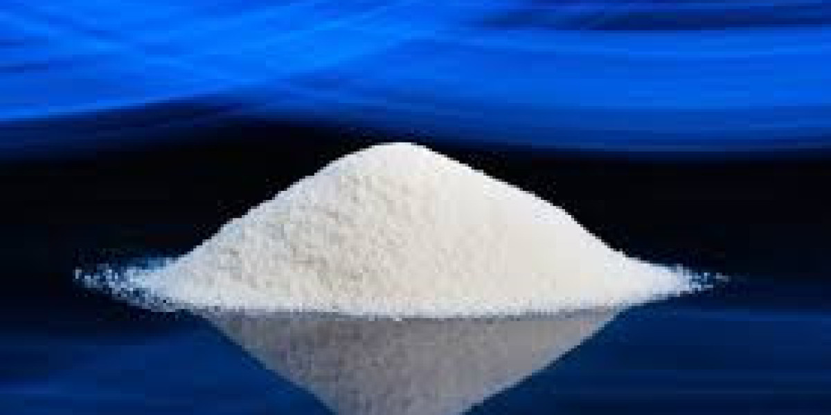 Research Report on the Sodium Chlorite Industry