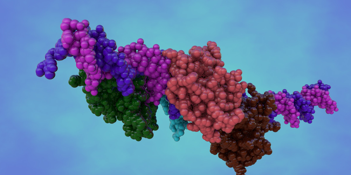 Advanced Purification Techniques for Enhancing Vaccine Efficacy and Safety   