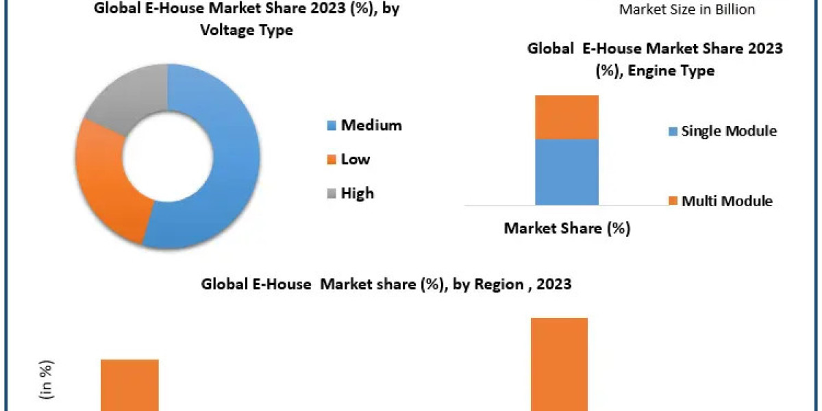 E-House Market Industry Evaluation, Size, Key Drivers, and Future Movements
