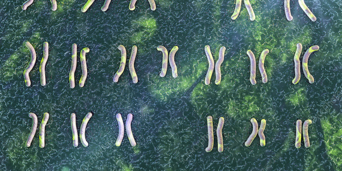Cri-du-chat Syndrome Market Overview, Growth Trends, Segmentation, Key Players (2024-2031)