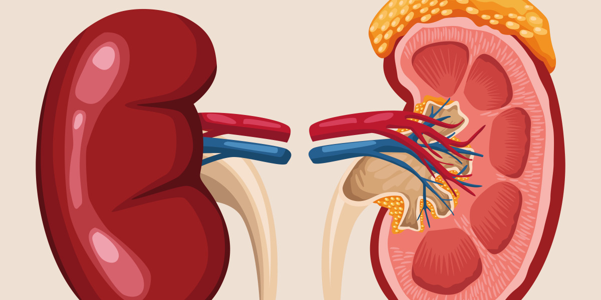 Kidney Cancer Treatment and Care: Important Information