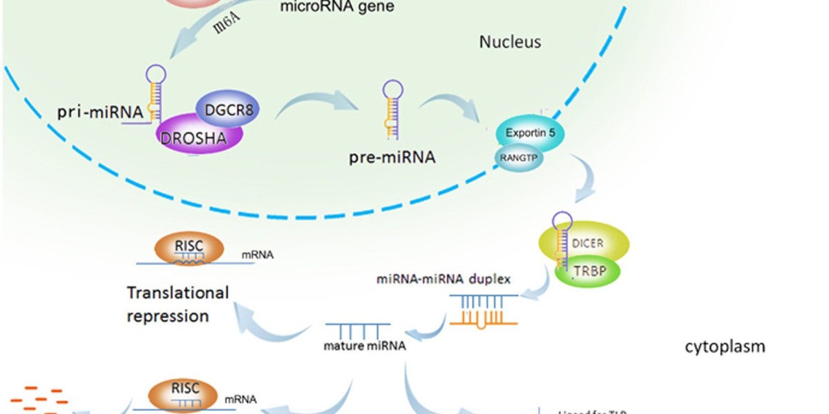 MicroRNA Market to Develop New Growth and Opportunities Analysis Story