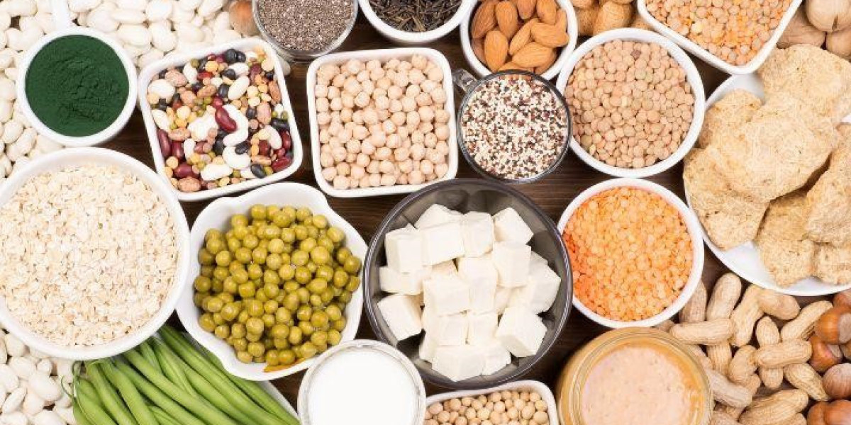 Research Report on the Alternative Proteins Industry