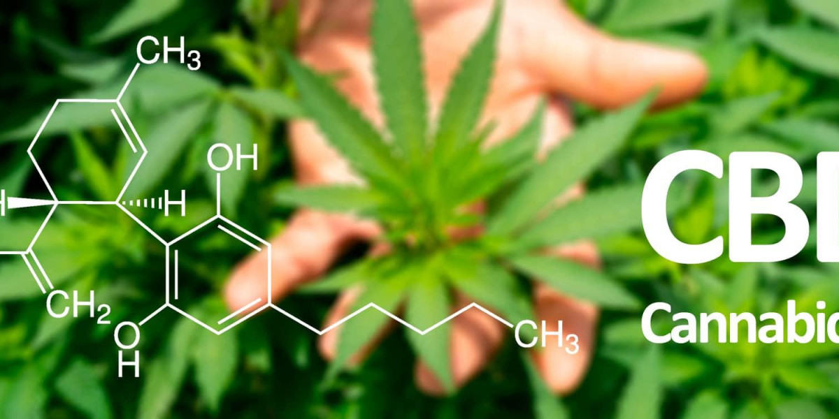 Cannabidiol Market Trends Show Expansion as Regulatory Approvals Increase Worldwide