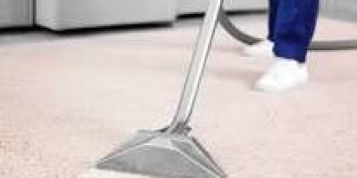 Why Every Home’s Cleanliness Depends on Professional Carpet Cleaning