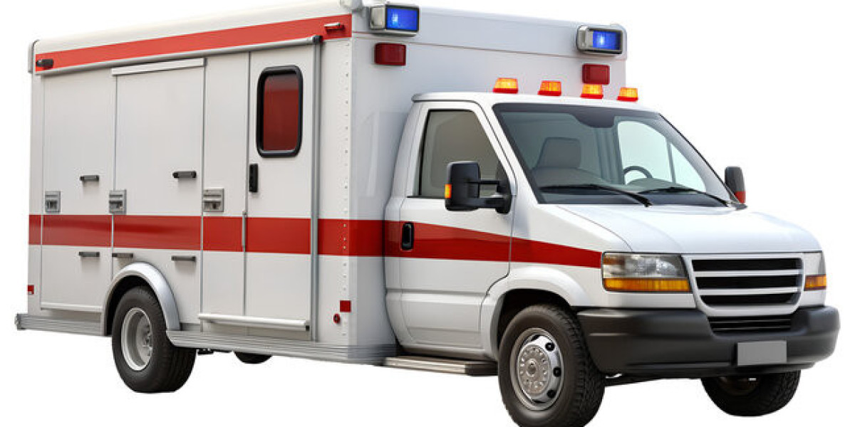 Research Report on the North American Ambulance Services Industry
