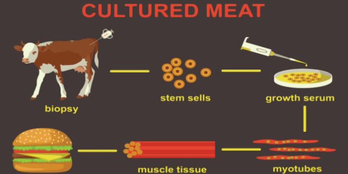 Cultured Meat Market Global Industry, Precise, Powerful, & Measurable Forecast 2031