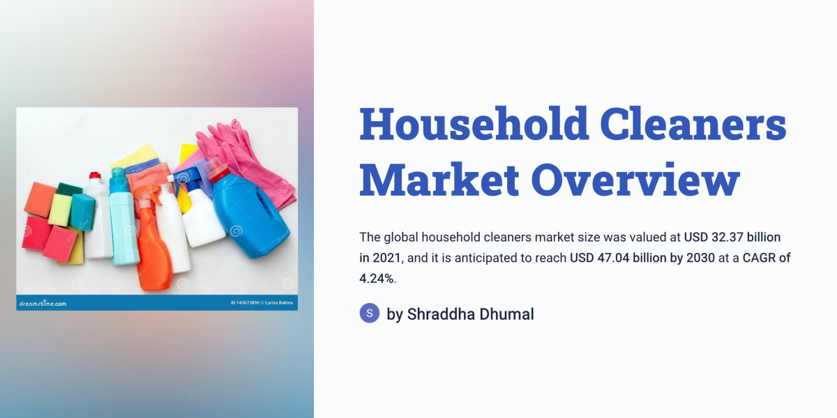 Household Cleaners Market Trends: Emerging Patterns and Future Outlook