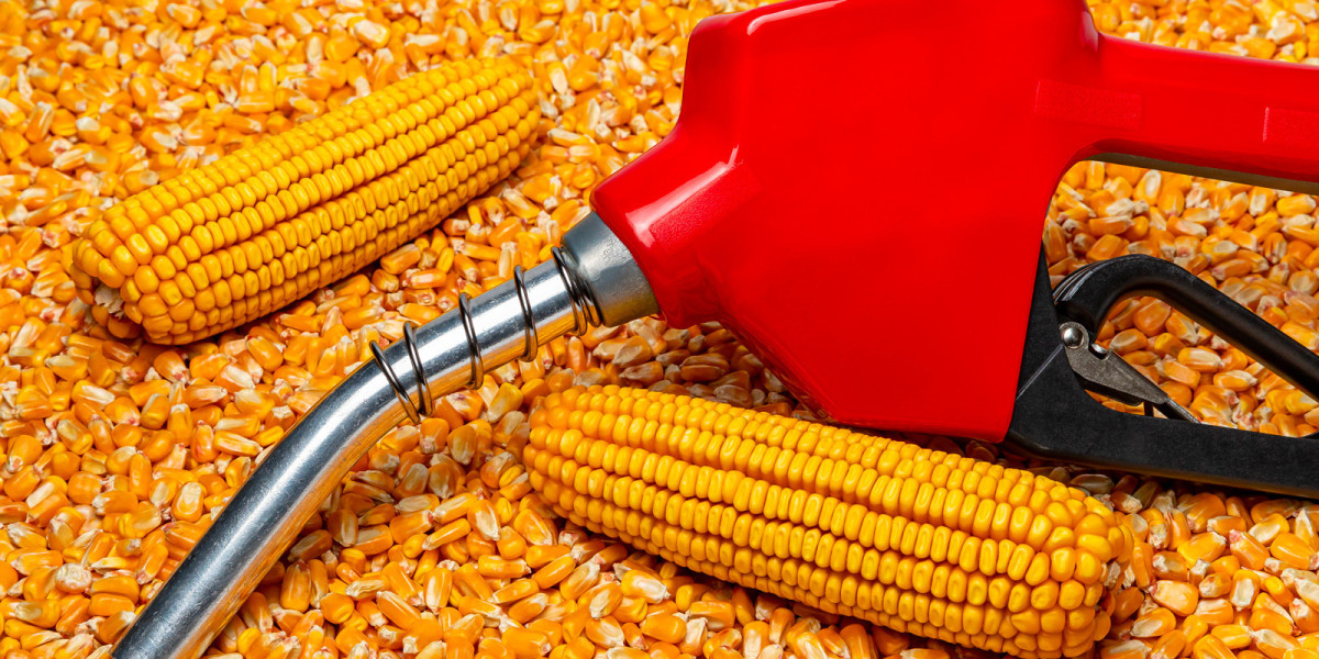 Research Report on the India Ethanol Industry