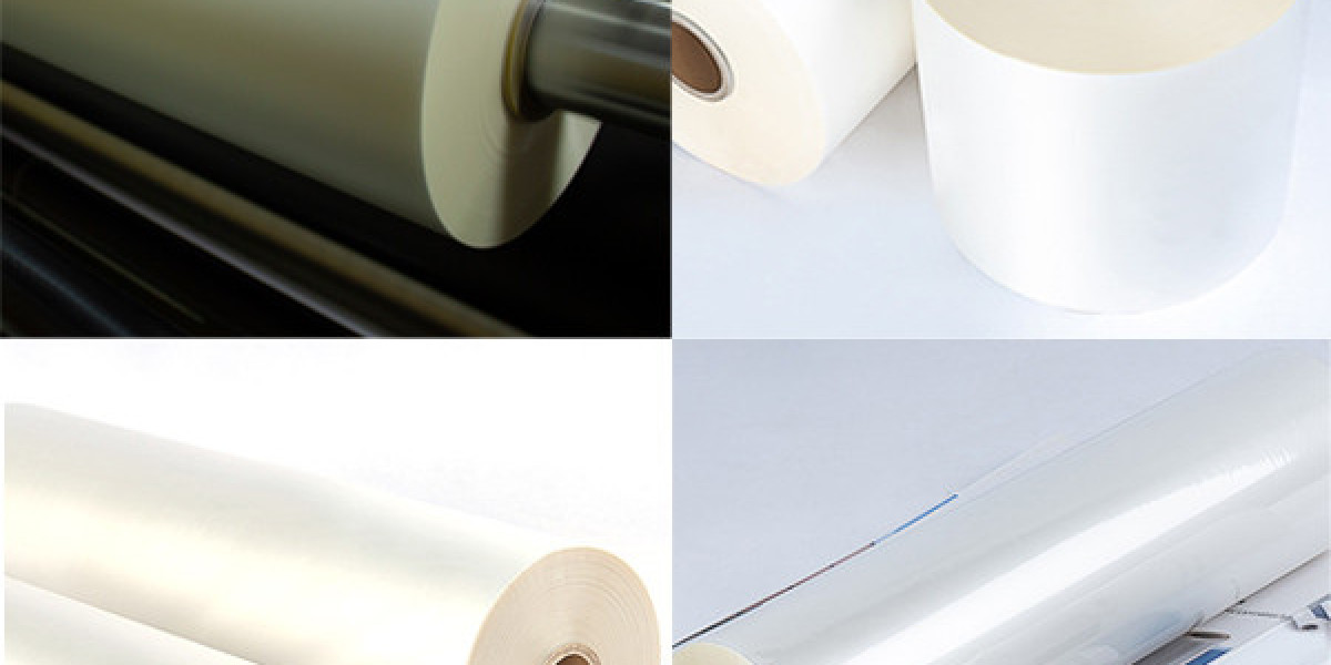 Increasing Applications in Publishing and Printing Boost Thermal Lamination Film Market Size