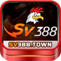 SV388 SV388 Profile Picture