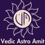 Vedic Astro Amit Profile Picture