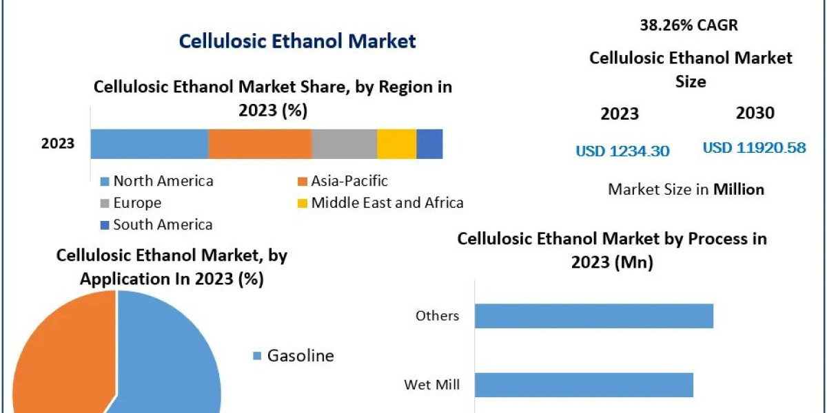 Emerging Technologies in Cellulosic Ethanol Production: What to Expect in 2024