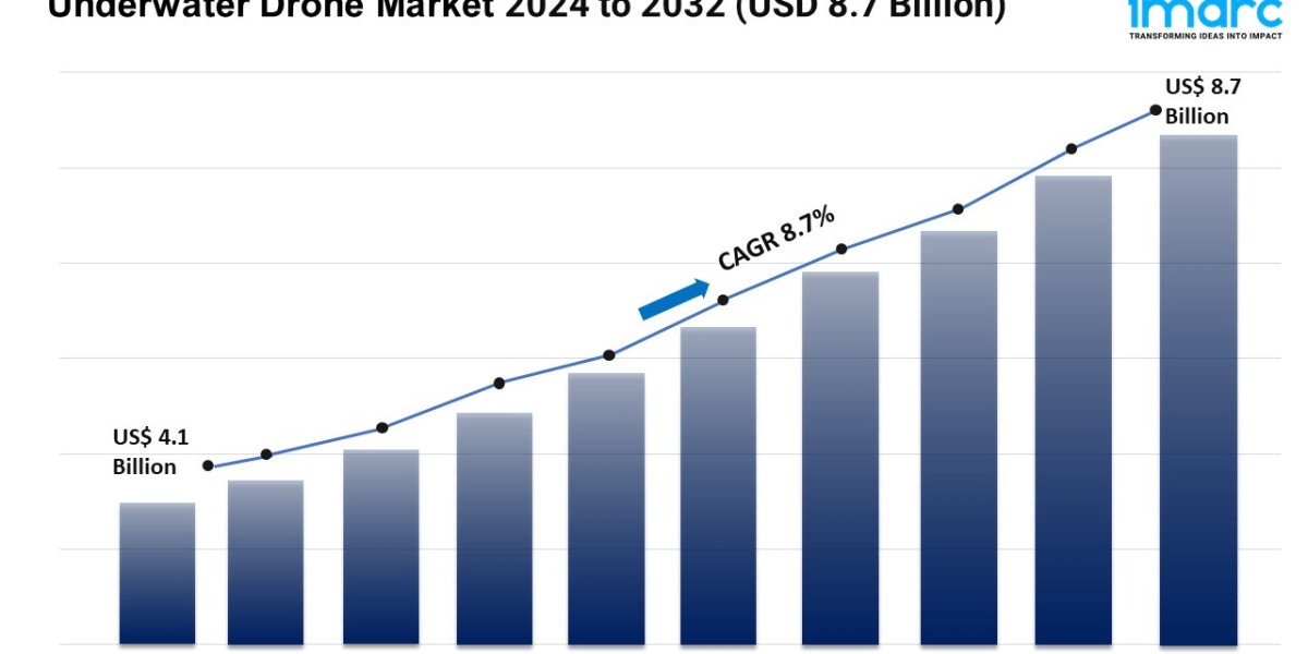 Underwater Drone Market Share, Demand, Trends And Forecast 2024-2032