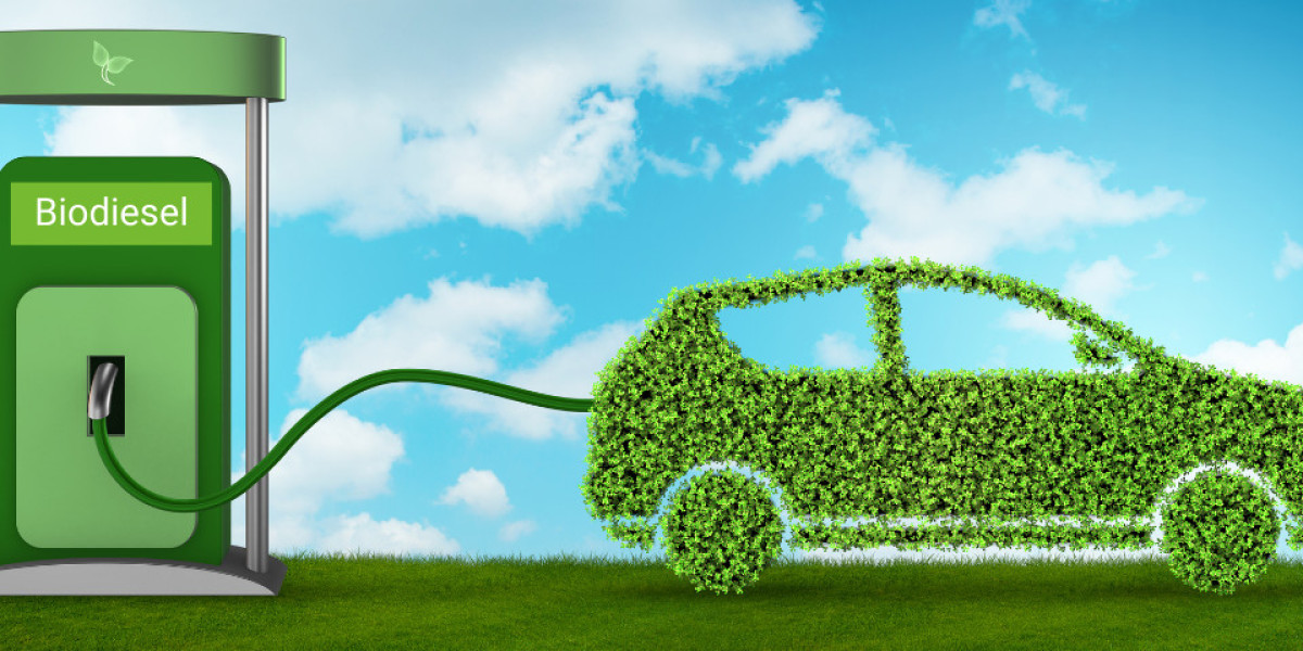 Research Report on the Biodiesel Industry