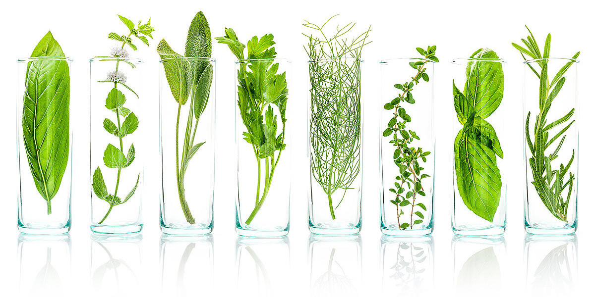 Research Report on the Plant Extracts Industry