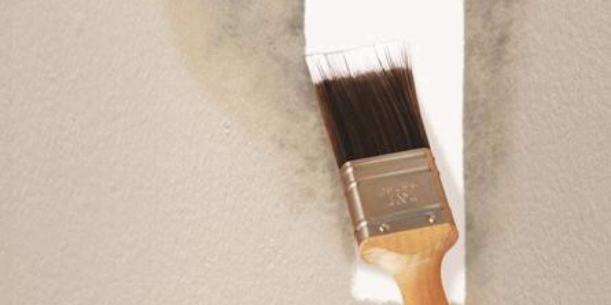Research Report on the Anti-Mould Paints Industry