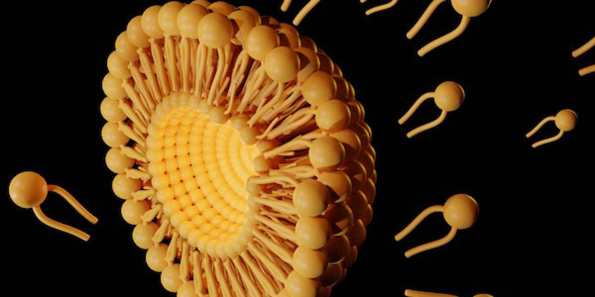 Lipid Nanoparticle Market 2023: Global Forecast to 2032