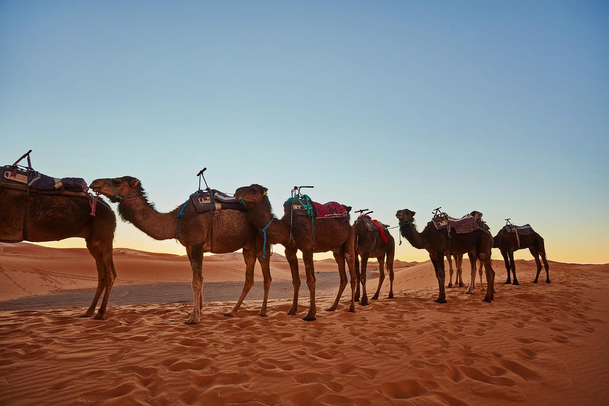 Affordable Rajasthan Jaisalmer Tour Packages for a Dream Trip