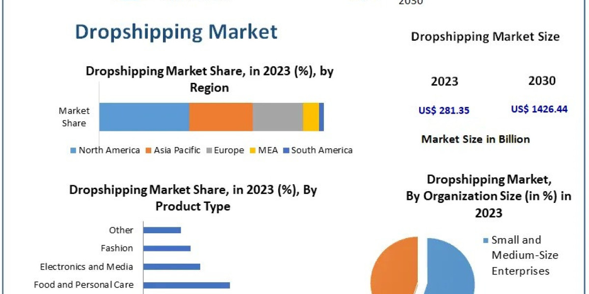 Dropshipping Market Dynamics Leveraging Technology for Efficiency and Profitability