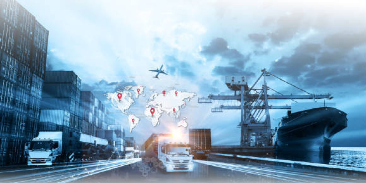 Optimizing the Performance of Transportation Management Systems (TMS) in the USA