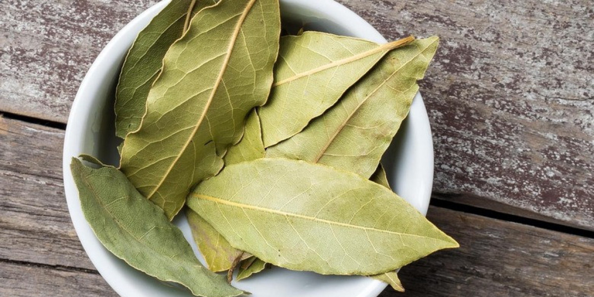 Bay Leaf Processing Plant Project Report 2024: Comprehensive Business Plan, and Manufacturing Process