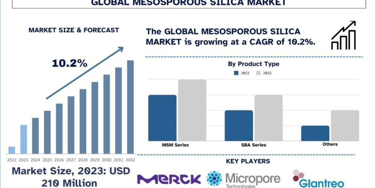 Mesoporous Silica Market Analysis by Size, Growth and Forecast (2024–2032) | UnivDatos