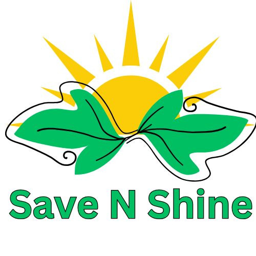 Save N Shine Shine Profile Picture