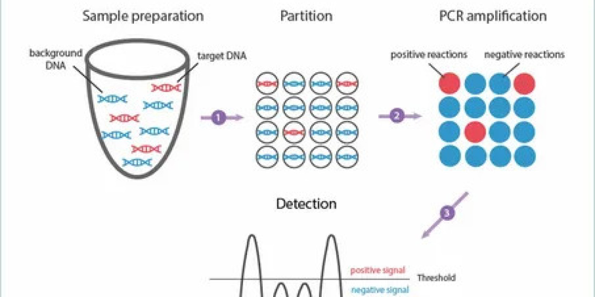 Digital PCR Market Application and Industry Forecast Report 2033