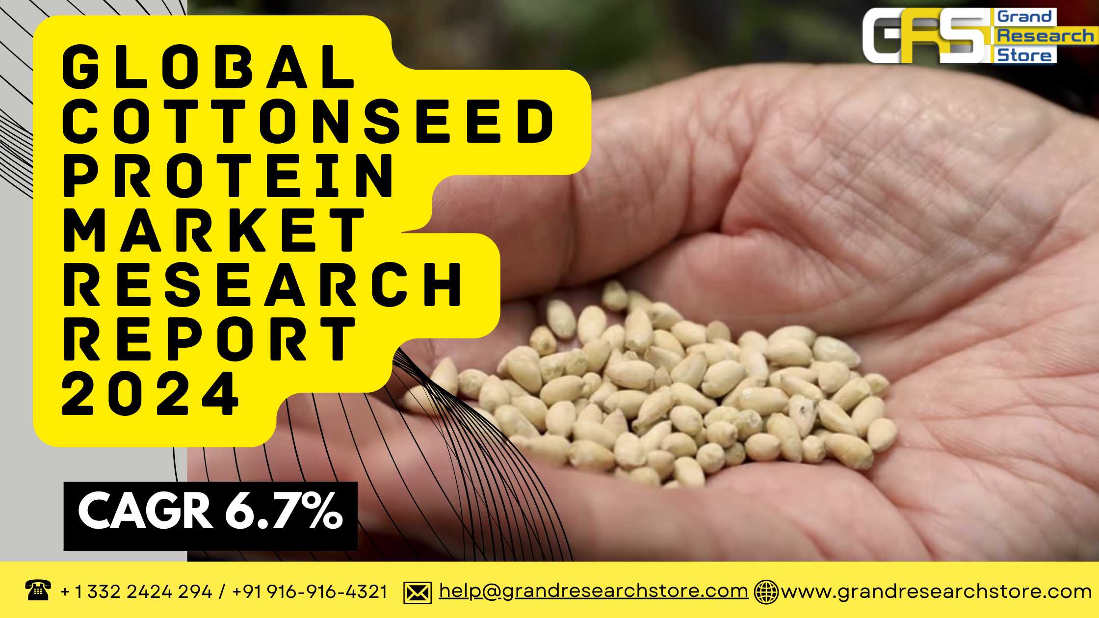 Global Cottonseed Protein Market Research Report 2..