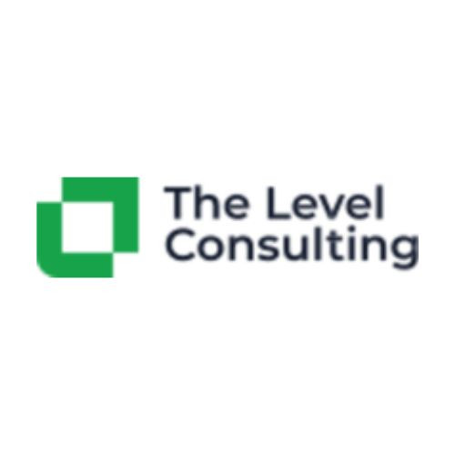 TheLevel Consulting Profile Picture