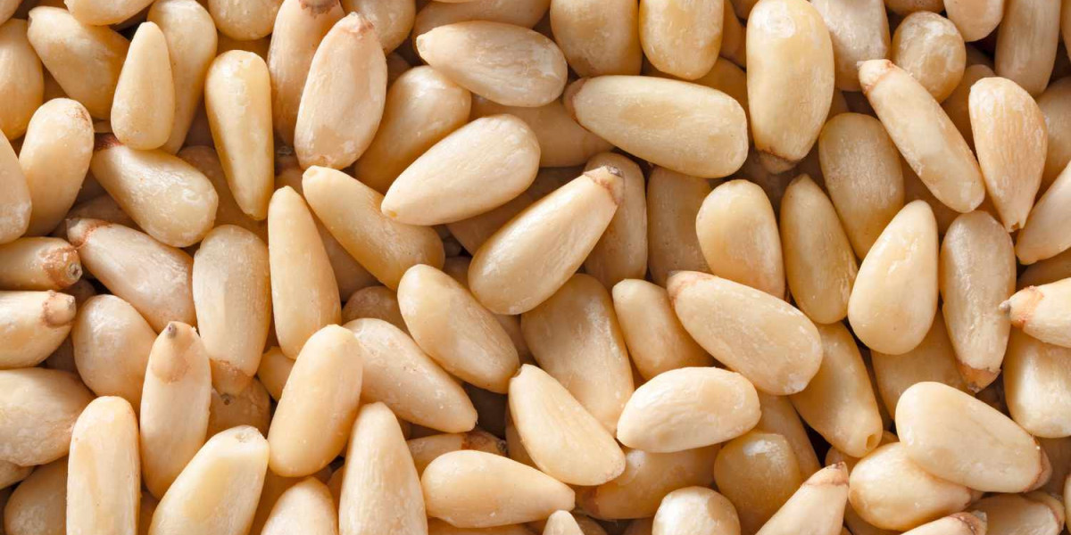 Pine Nut Processing Plant Project Report 2024: Business Plan, and Plant Setup – Syndicated Analytics