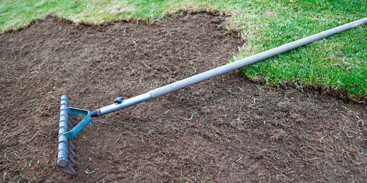 What type of grass is best for lawn repair?