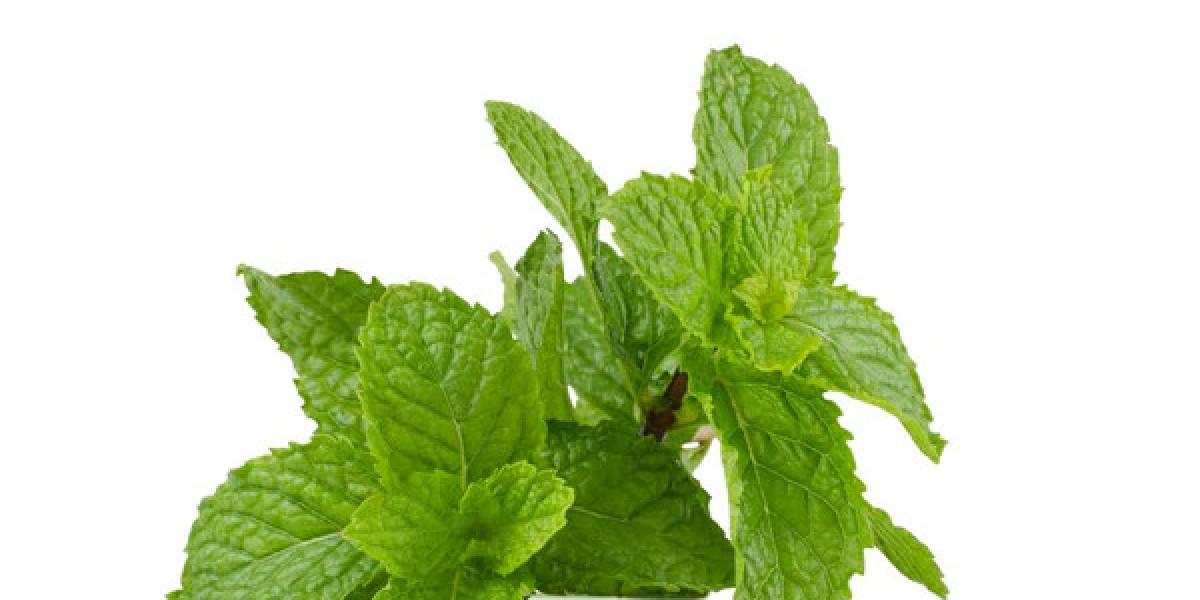 Benefits of Partnering with a Peppermint Essential Oil Wholesaler