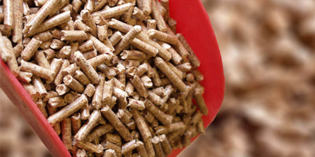 Biomass Pellets Manufacturing Plant Report 2024: Machinery Requirement, Project Cost and Profit Margin