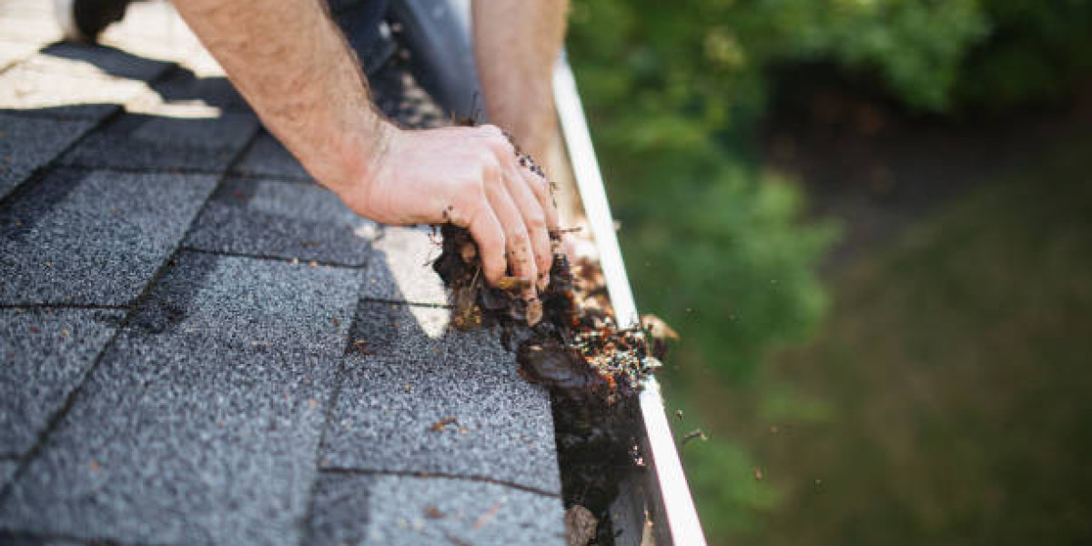10 Reasons to Clean Your Gutters Regularly