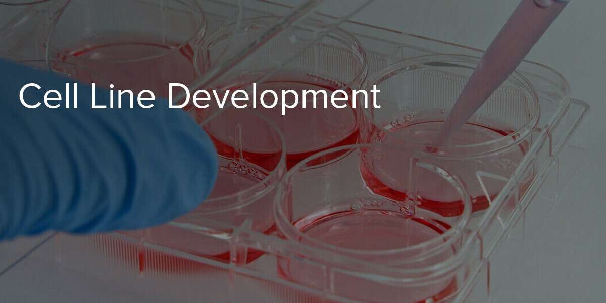 Cell Line Development Market Demand Expands Amid Advancements in Vaccine Production