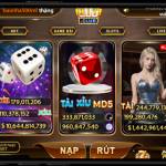 minh minh Profile Picture