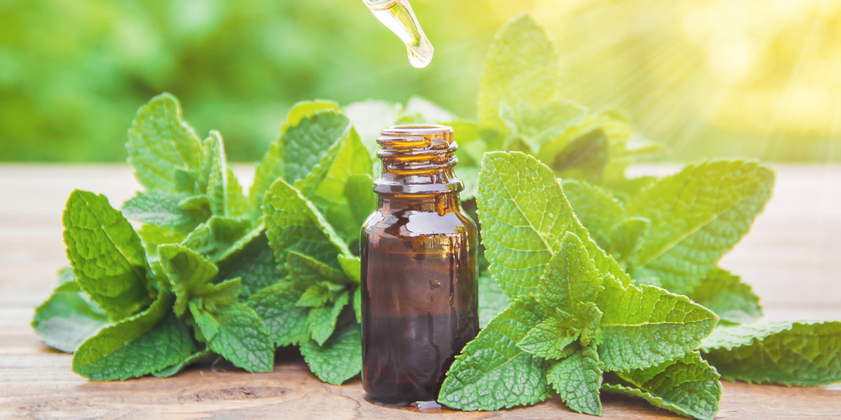 Do Bees Like Peppermint Oil? Understanding the Relationship Between Bees and Essential Oils