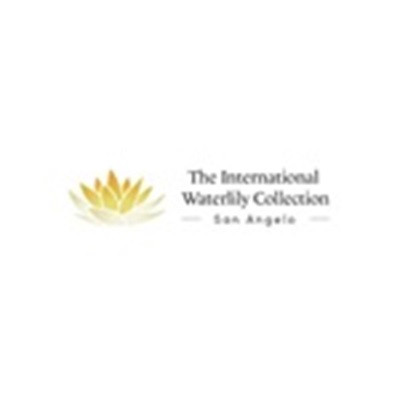 The International Waterlily Collection Profile Picture