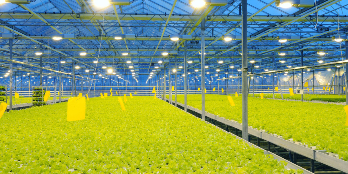 Technological Innovations Drive Horticulture LED Lighting Market Growth in 2024